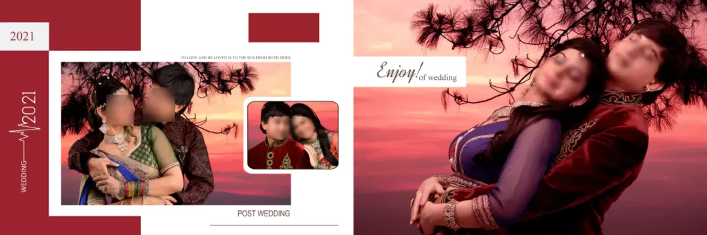 100 Wedding Album DM Design 12X36 PSD Templates 38 1